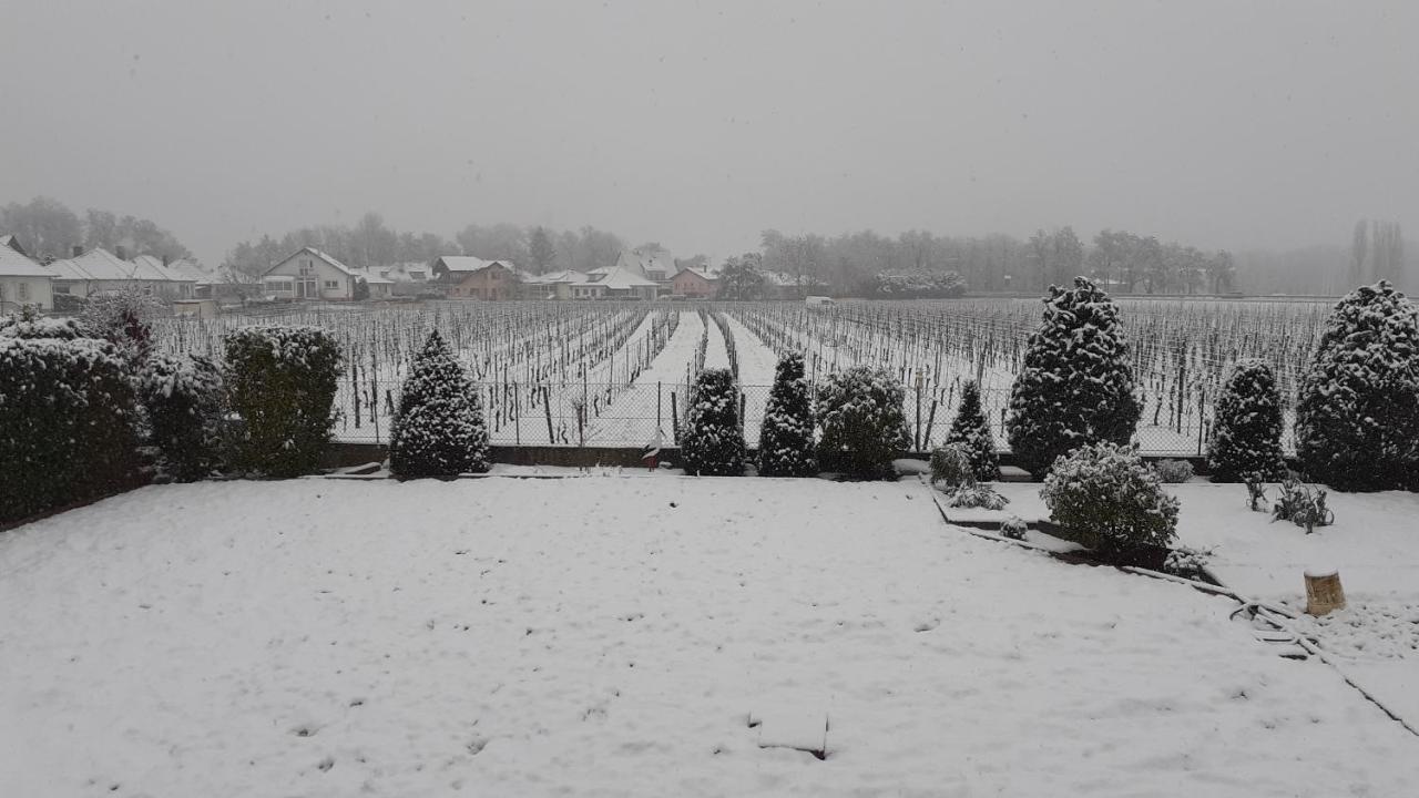 Bed and Breakfast Aux Pieds Des Vignes Ингерсайм Экстерьер фото
