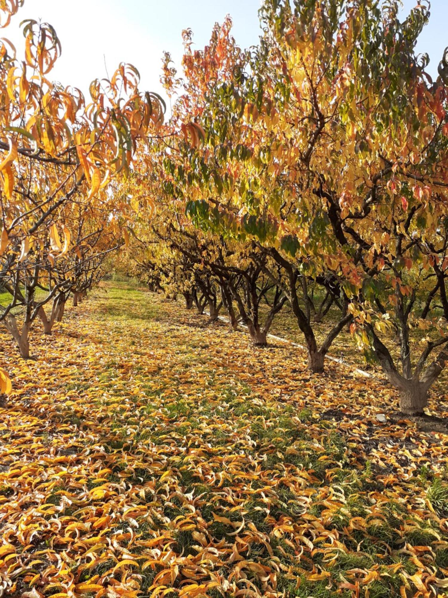 Bed and Breakfast Aux Pieds Des Vignes Ингерсайм Экстерьер фото
